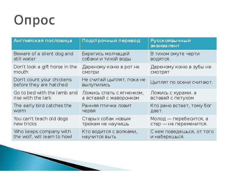 Твиттер не работает? как снять блокировку сайта twitter 2023