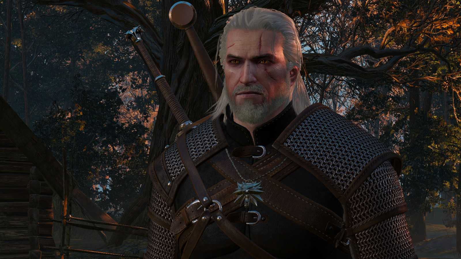 Geralt of rivia the witcher 3 фото 107