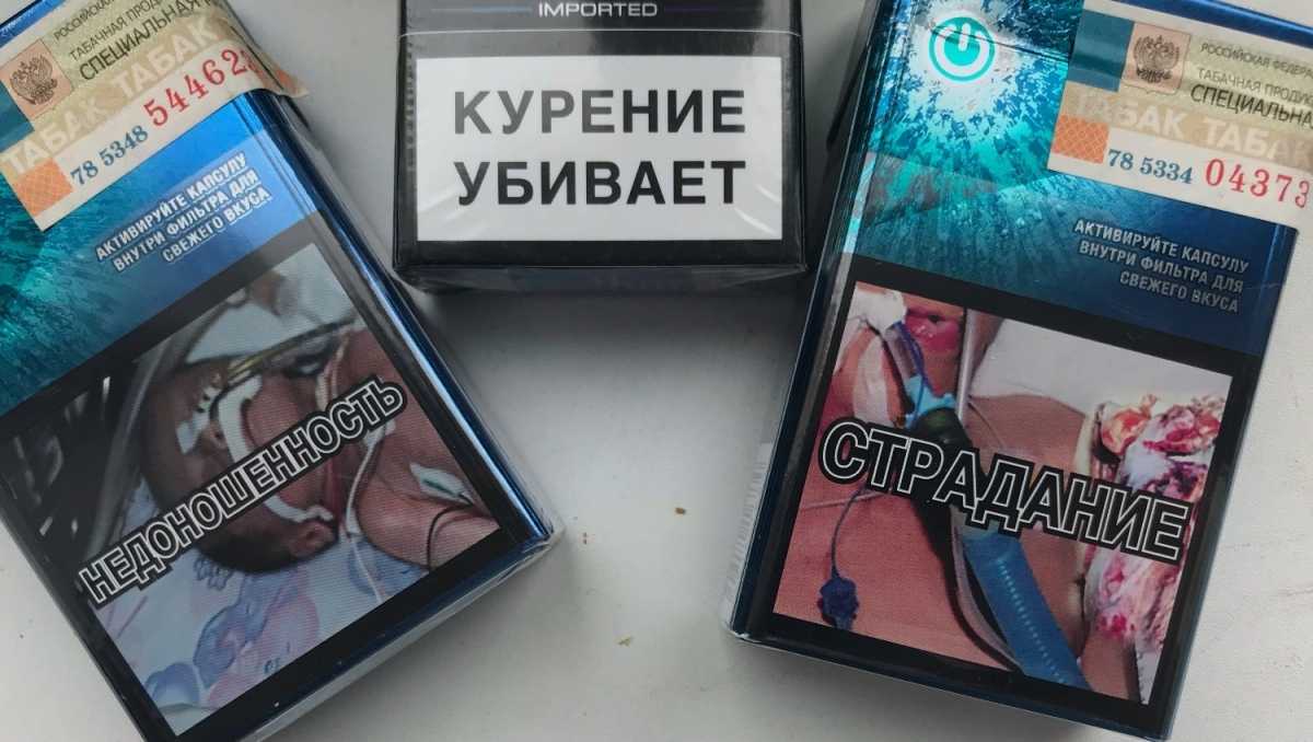 Выстрел из реактивного огнемета шмель. выдох преисподней: почему огнемет "шмель" стал самым опасным оружием пехоты