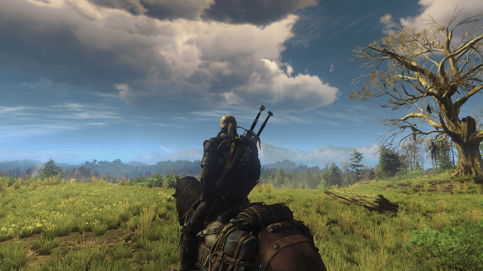 Console для the witcher 3 фото 91