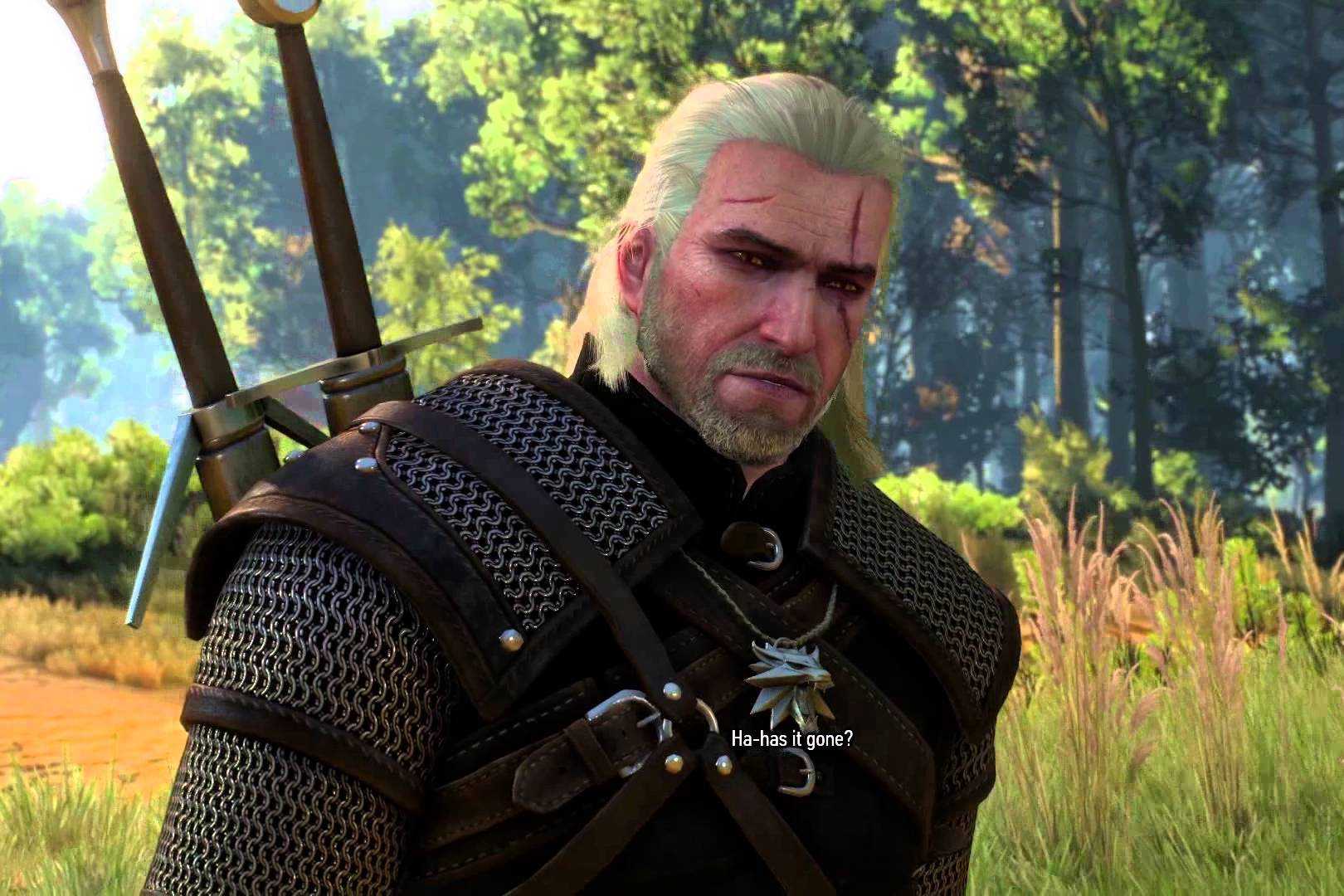 The witcher 3 вес фото 80